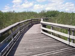 Everglades walkway